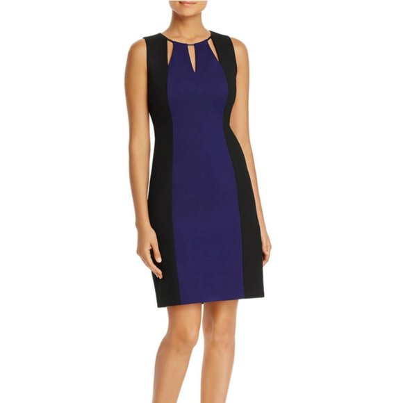 T Tahari Dresses & Skirts - NWT T Tahari Oleana Color Block Cutout Dress